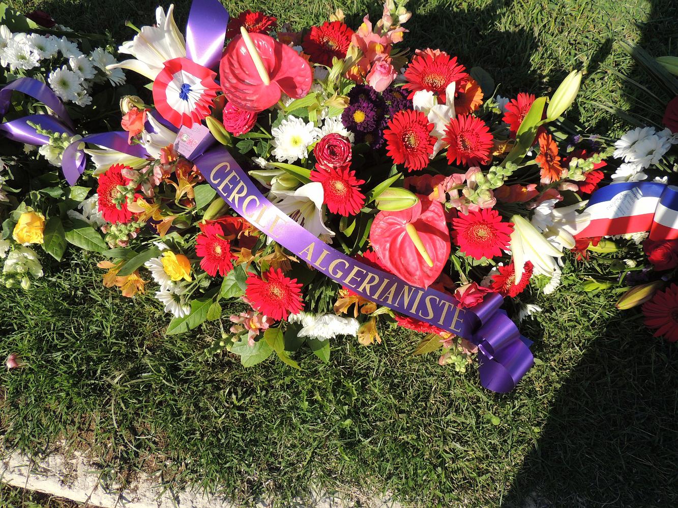 2019 09 25 TOULON HOMMAGE NATIONAL AUX HARKIS ET AUX FORMATIONS SUPPLETIVES  (4).JPG -           